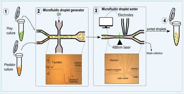 Microfluidics photo